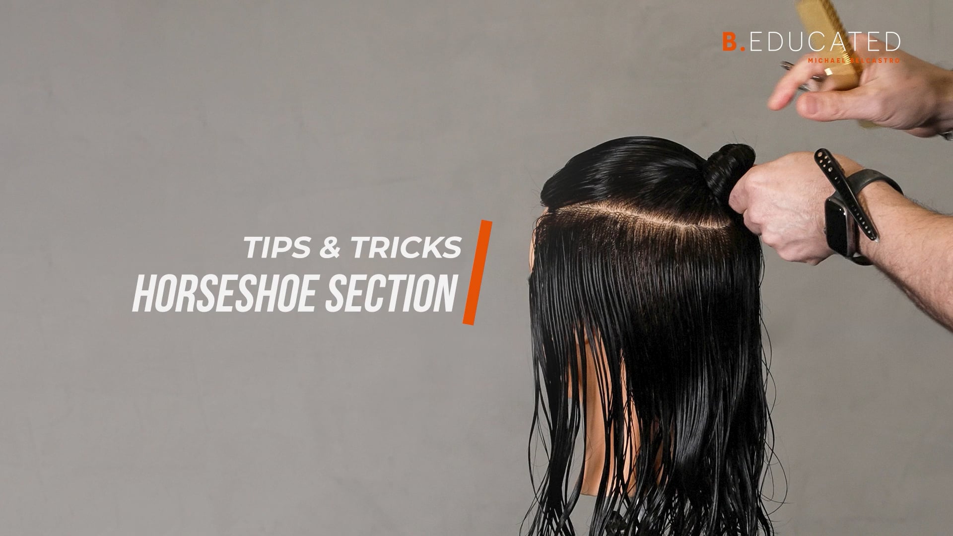 How to Take a Horseshoe Section.